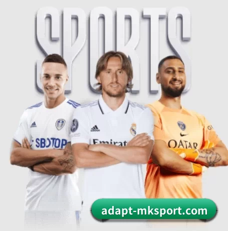 adapt-mksport.com的故事 - 体育资讯内容服务